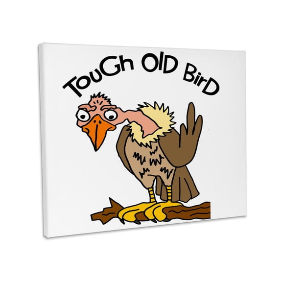 3dRose, Funny Cute Old Buzzard as Tough Old Bird Old Age Cartoon, Museum Grade Canvas Wrap 14x11