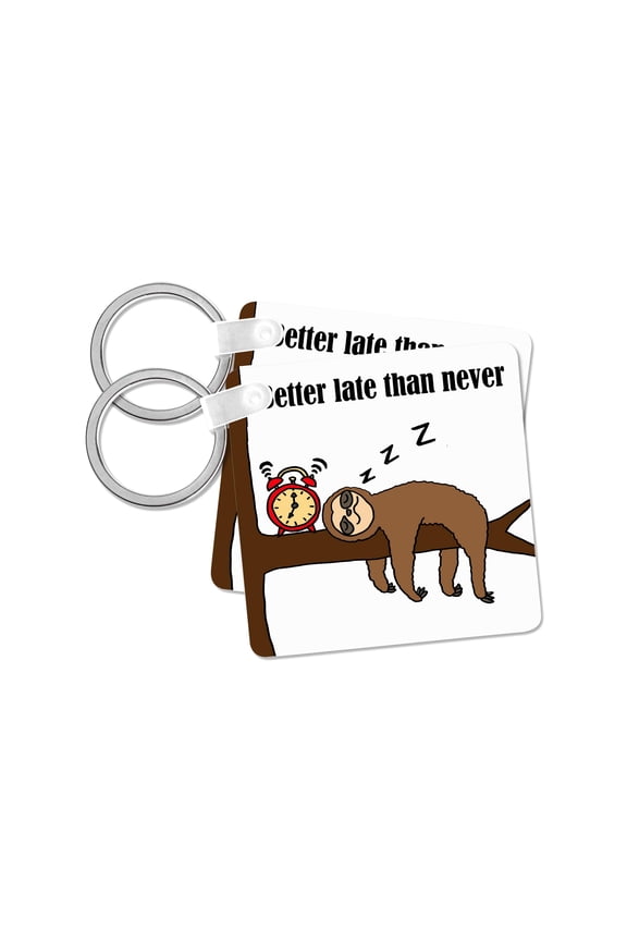 , Funny Cute Sloth Sleeping says Better Late than Never , set of 2 Key Chains