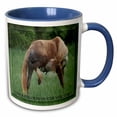 thumbnail image 1 of 3drose, Funny Horse Green Background Congratulations on Vasectomy, 11oz Two-tone Blue Mug, 1 of 6