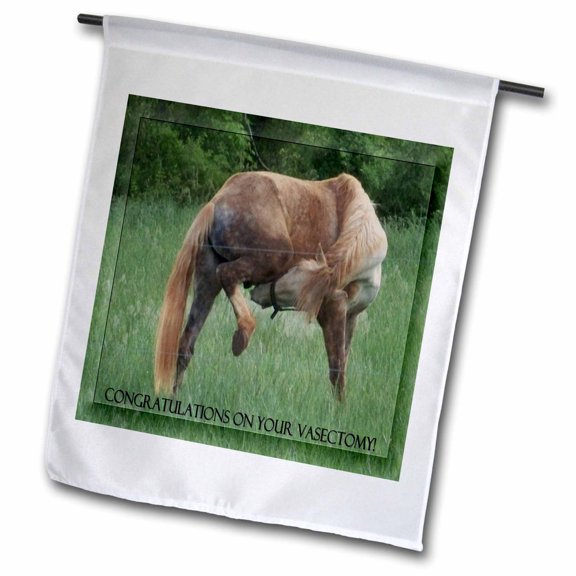 3dRose, Funny Horse Green Background Congratulations On Vasectomy , 12 x 18 inch Garden Flag