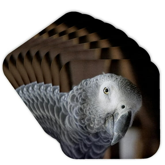 3drose, Funny Macaw Bird African Grey Parrot, Set of 8 Coasters - Soft