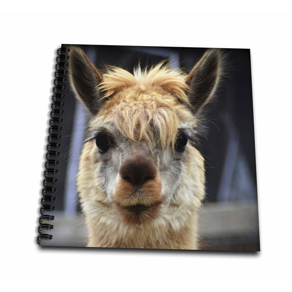 3dRose, Fuzzy Nose Lama is a photo of lama showing its fuzzy nose, Drawing Book 8 x 8 inch