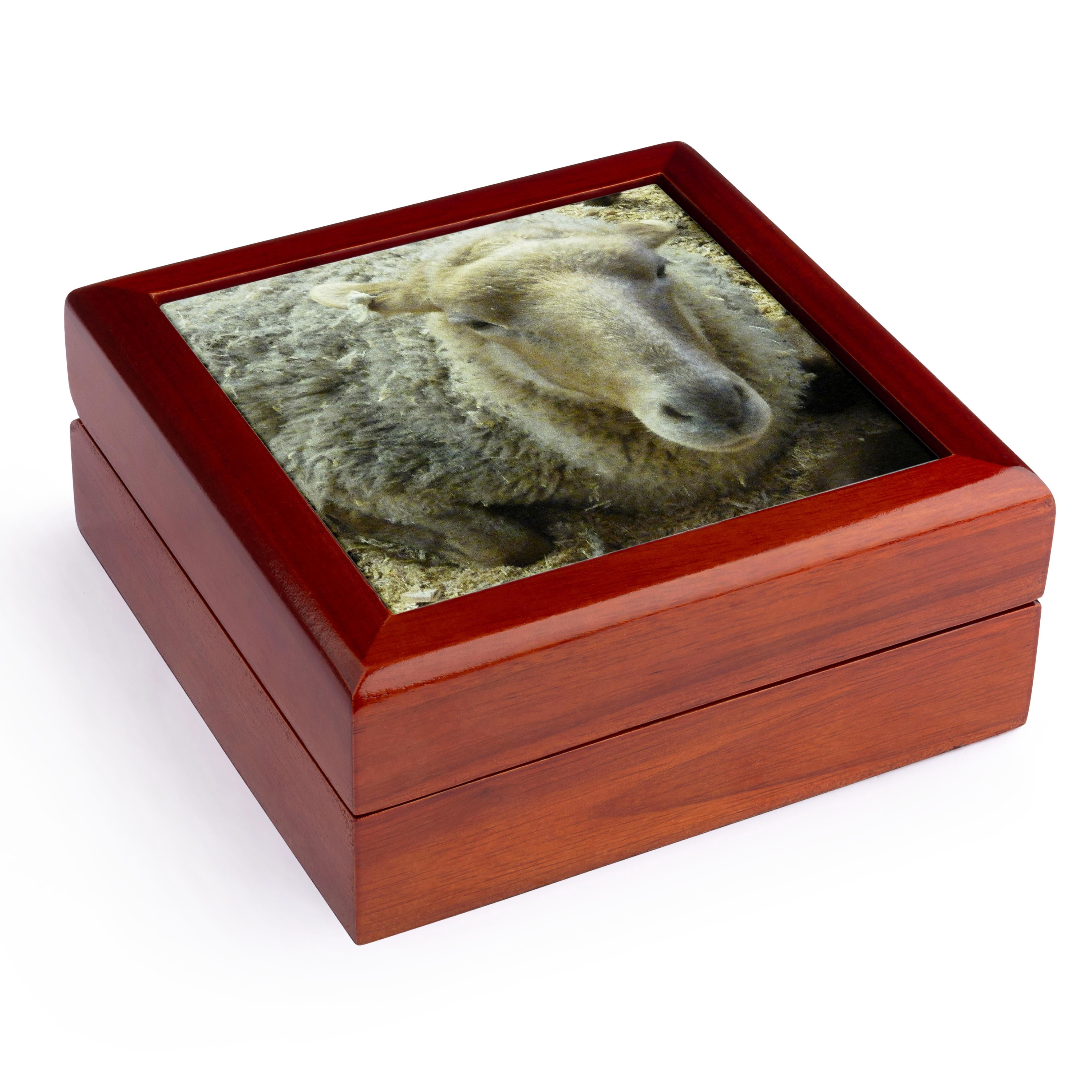 3dRose, Fuzzy Sheep, Jewelry Box 5.5x5.5 inch with 4 inch tile