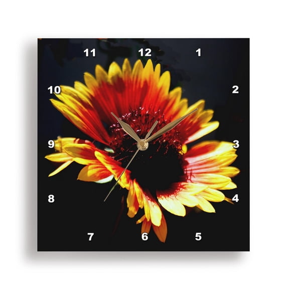 3dRose, Gaillardia Flower Floating On Black, 15x15 Wall Clock
