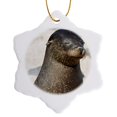 thumbnail image 1 of 3drose, Galapagagos Sea Lion,zalophus Wollebaeki,, 3 inch Snowflake Porcelain Ornament, 1 of 7
