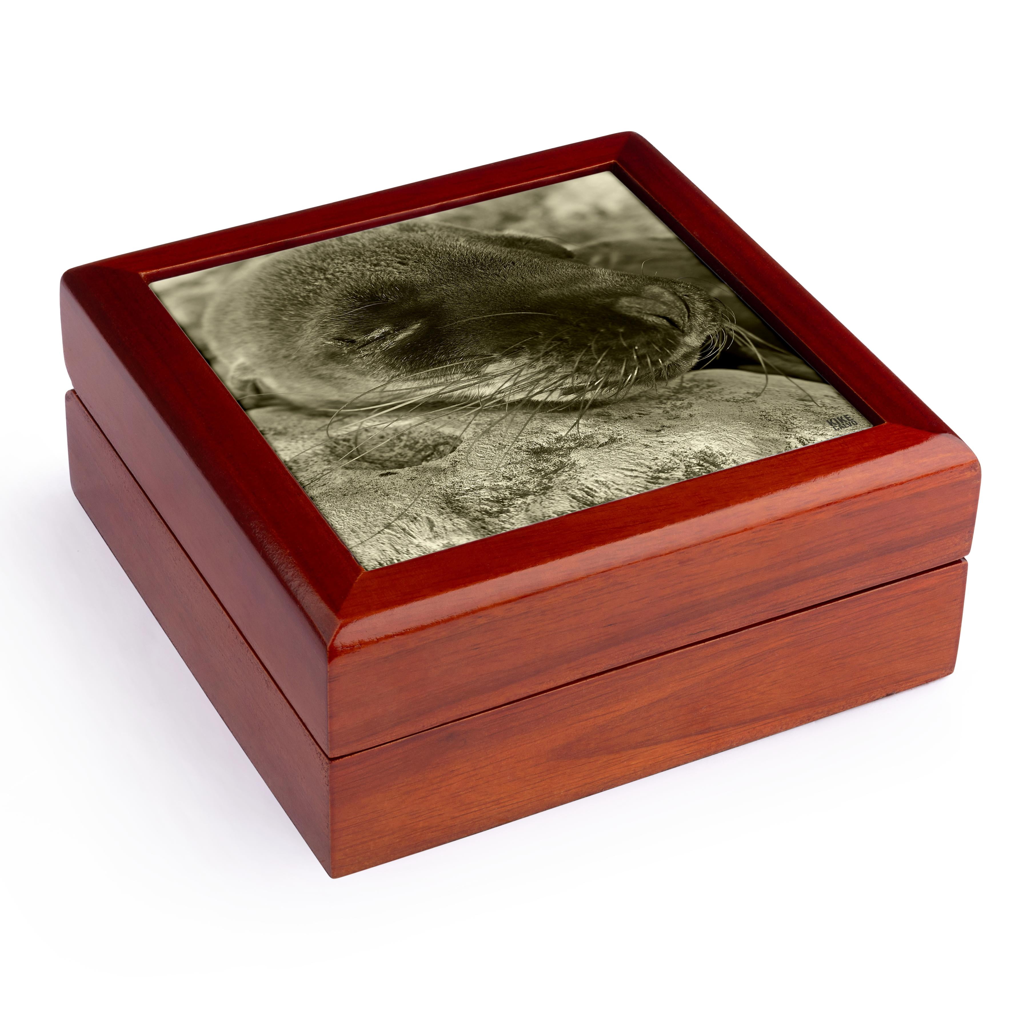 3dRose, Galapagos Islands Ecuador, Jewelry Box 5.5x5.5 inch with 4 inch tile