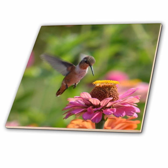 3dRose, Garden Hummingbird and Pink Zinnia Flower - Photography, 4 Inch Ceramic Tile