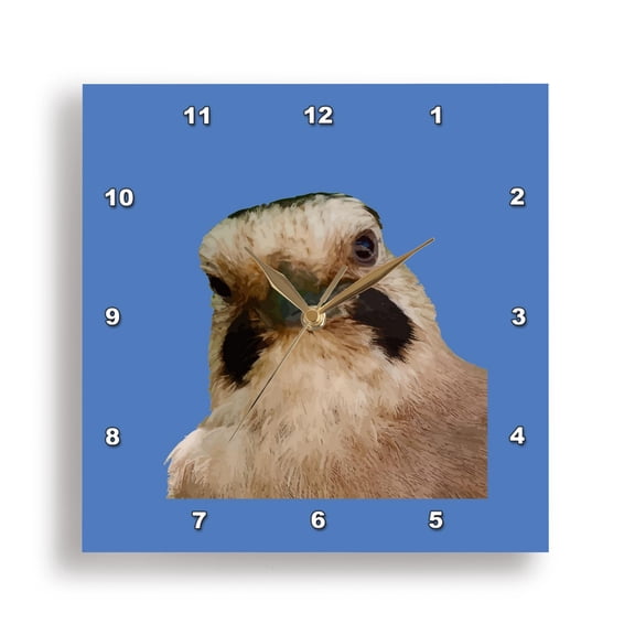 3dRose, Geeky Faced European Jay Close Up, 15x15 Wall Clock