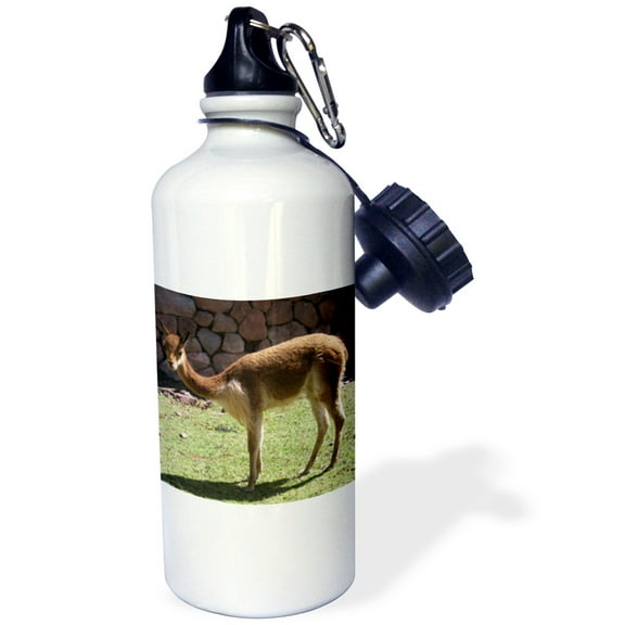 3dRose, Gentle Llama Animals Travel Photography, 21 oz Sports Water Bottle
