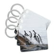 thumbnail image 1 of 3dRose, Gentoo penguins swimming and jumping back to land , set of 4 Key Chains, 1 of 7