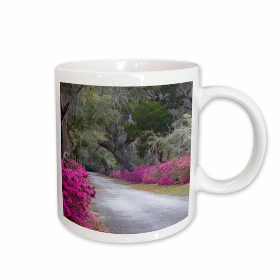 3drose, Georgia, Savannah, Bonaventure Cemetery Drive - Us11 Jwl0375 - Joanne Wells, 11oz Mug