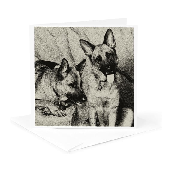 3drose, German Shepherd, 1 Greeting Card with Envelope