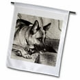 thumbnail image 1 of 3dRose, German Shepherd , 12 x 18 inch Garden Flag, 1 of 1