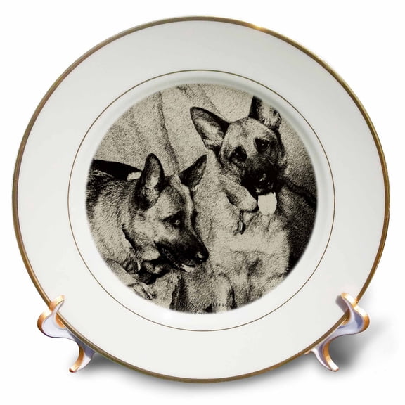 3dRose, German Shepherd , 8 inch Porcelain Plate