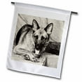 thumbnail image 1 of 3dRose, German Shepherd , 12 x 18 inch Garden Flag, 1 of 1