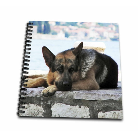 3dRose, German Shepherd. The smartest dog., Drawing Book 8 x 8 inch