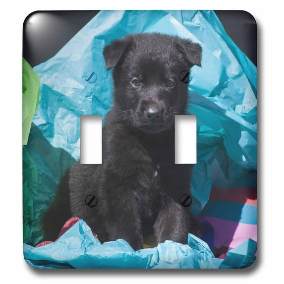 3dRose, German Shepherd puppy. PR. , double toggle switch