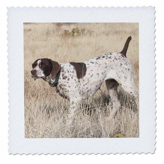 3dRose, German Shorthair Pointer, 12x12 inch quilt square