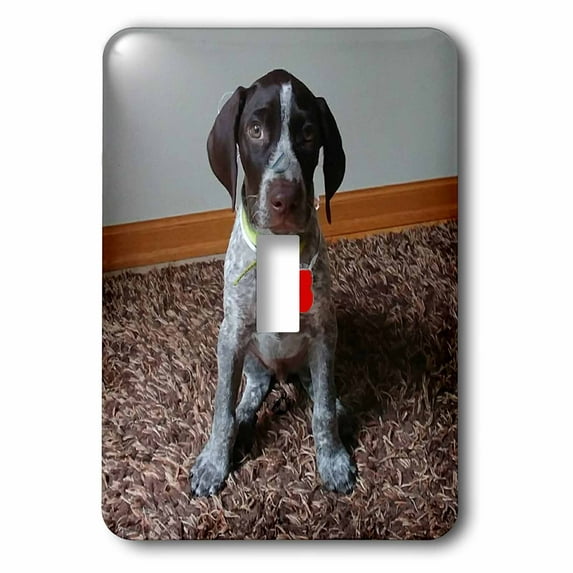3dRose, German Shorthaired Pointer Puppy with Red Heart, 3drsmm, single toggle switch