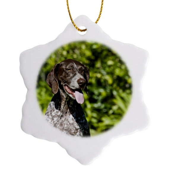 3drose, German Shorthaired Pointer Dog - Na02 Zmu0167 - Zandria Muench Beraldo, 3 inch Snowflake Porcelain Ornament