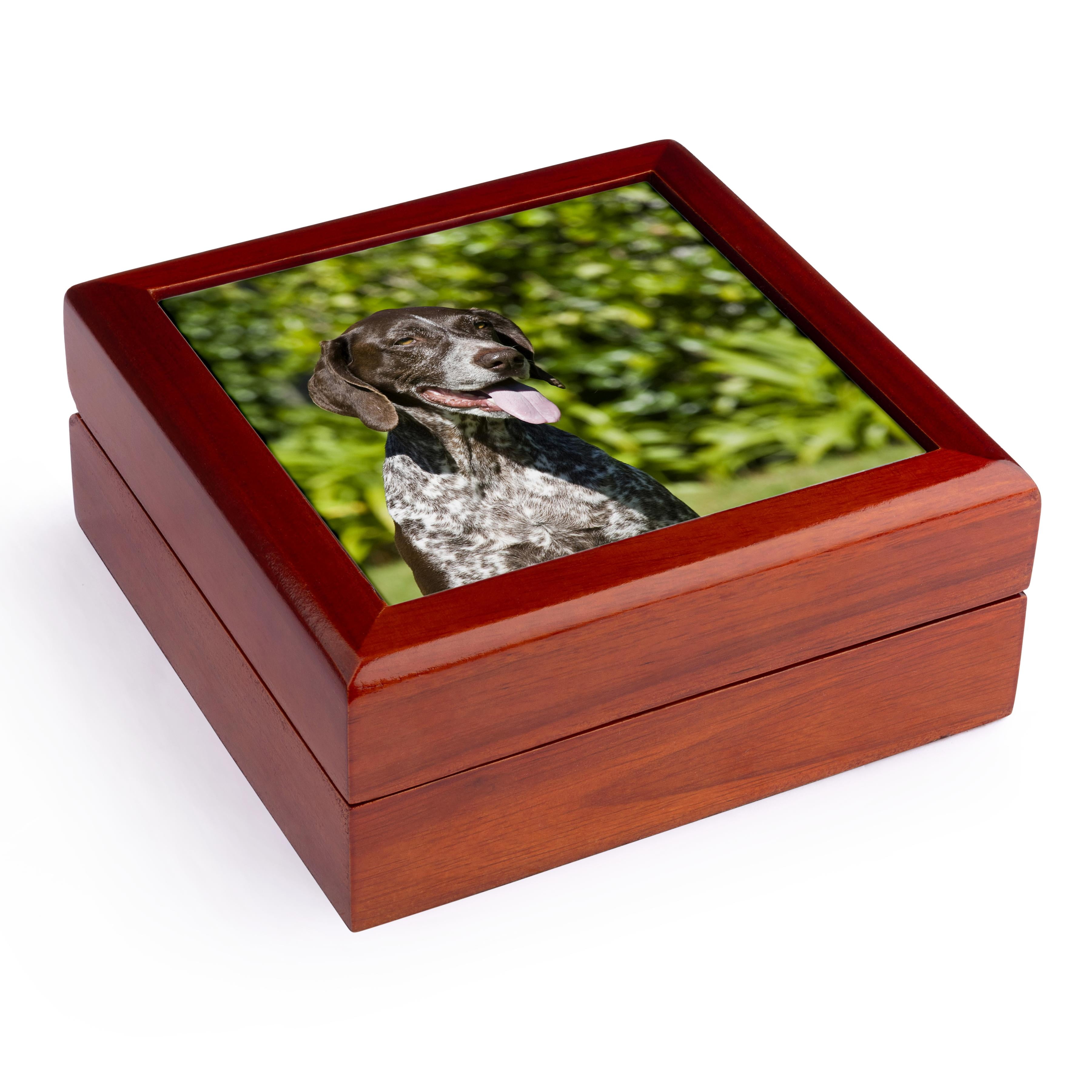 3dRose, German Shorthaired Pointer dog - NA02 ZMU0167 - Zandria Muench Beraldo, Jewelry Box 5.5x5.5 inch with 4 inch tile