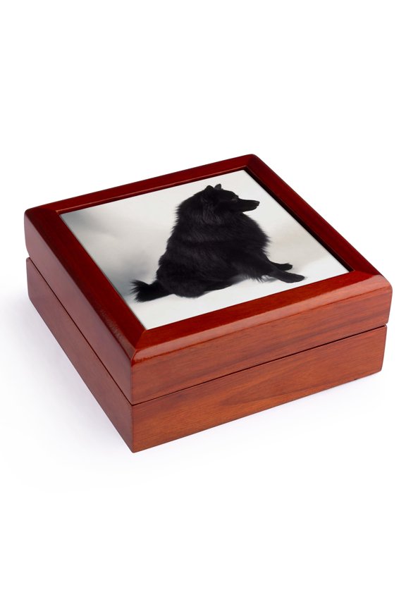 , German Spitz, Jewelry Box 5.5x5.5 inch with 4 inch tile