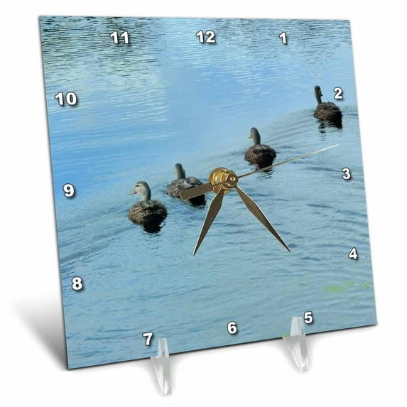 3dRose, Get Your Ducks In A Row, 6x6 Desk Clock