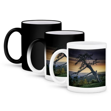 3dRose, Ghost Tree on the Blue Ridge Parkway, 11oz Magic Transforming Mug