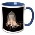 thumbnail image 1 of 3drose, Giant Bell Jelly, Monterey Bay Aquarium, California - Us05 Jgs0136 - Jim Goldstein, 15oz Two-tone Blue Mug, 1 of 6