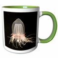 thumbnail image 1 of 3drose, Giant Bell Jelly, Monterey Bay Aquarium, California - Us05 Jgs0136 - Jim Goldstein, 15oz Two-tone Green Mug, 1 of 6