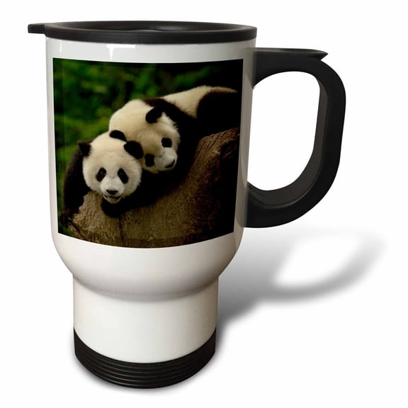 3dRose, Giant panda bears, Wolong China Conservation, CHINA-AS07 POX0403 - Pete Oxford, 14oz Stainless Steel Travel Mug