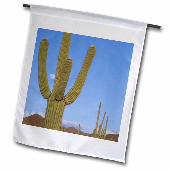 3dRose, Giant saguaro cactus succulent, Arizona - US03 JME0051 - John and Lisa Merrill, 18 x 27 inch Garden Flag