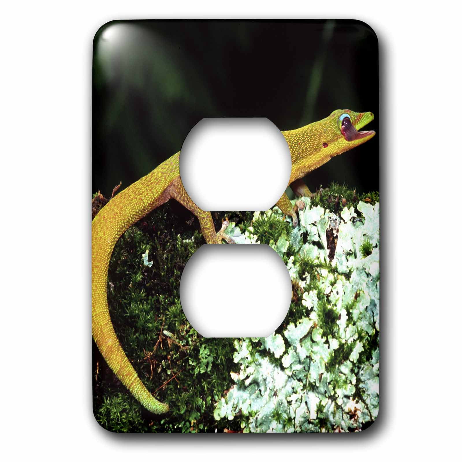 3dRose, Gold Dust Day Gecko Licking Eye, lizard - NA02 DNO0254 - David Northcott, 2 plug outlet cover