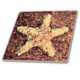 thumbnail image 1 of 3dRose, Gold Starfish- Nature- Ocean Art- Beach Art, 6 Inch Glass Tile, 1 of 1