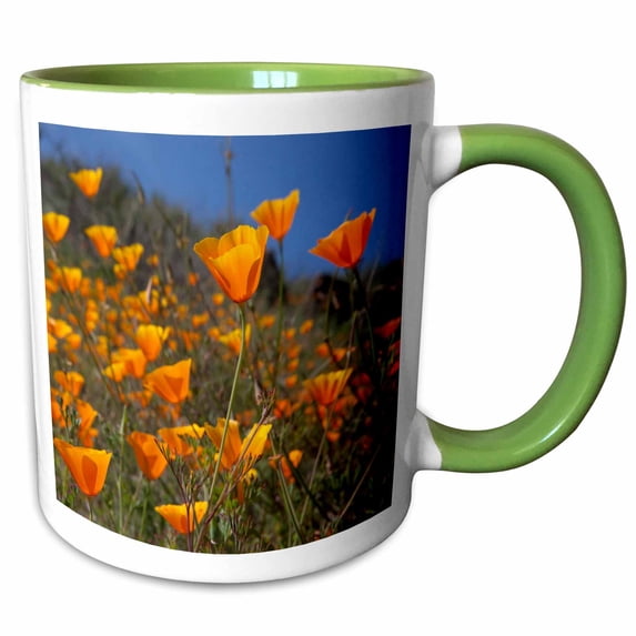 3drose, Golden California Poppy Flowers, California, Usa - Us05 Tno0022 - Tom Norring, 15oz Two-tone Green Mug