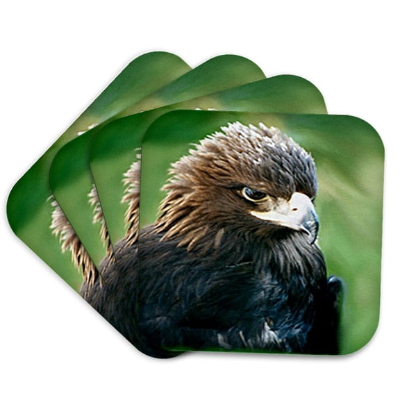 3dRose, Golden Eagle, set of 4 Coasters - Soft