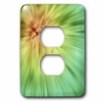 thumbnail image 1 of 3dRose, Golden Green Tie Dye - colorful tie dye graphic design in orange, gold and greens, 2 plug outlet cover, 1 of 1
