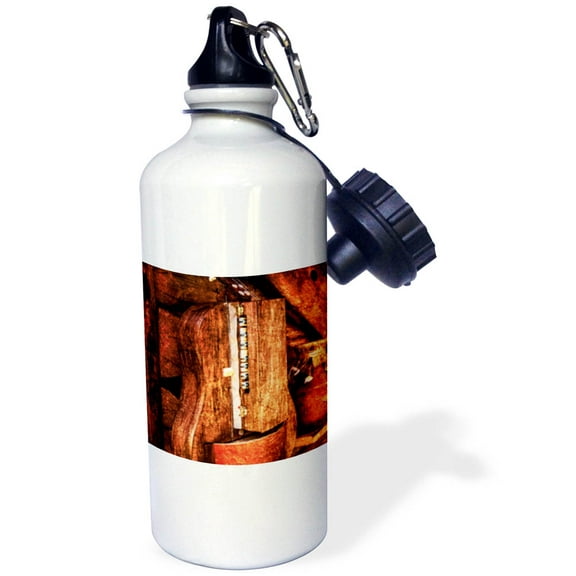 3dRose, Golden age technologies - Hurdy-gurdy or lira tedesca. Stylized photo, Flip Straw 21oz Water Bottle