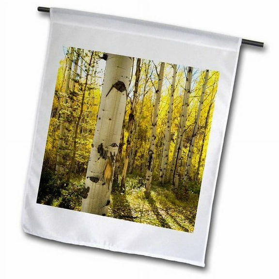 3dRose, Golden quaking aspen in full fall color, Kinney Creek, Colorado, 12 x 18 inch Garden Flag