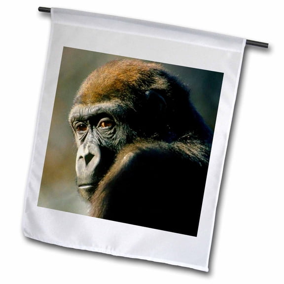 3dRose, Gorilla Portrait, 12 x 18 inch Garden Flag