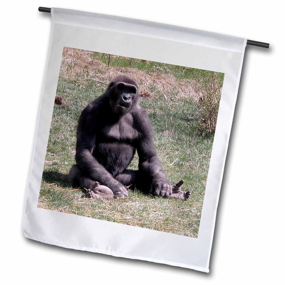 3dRose, Gorilla Sticking His Tongue Out, 12 x 18 inch Garden Flag