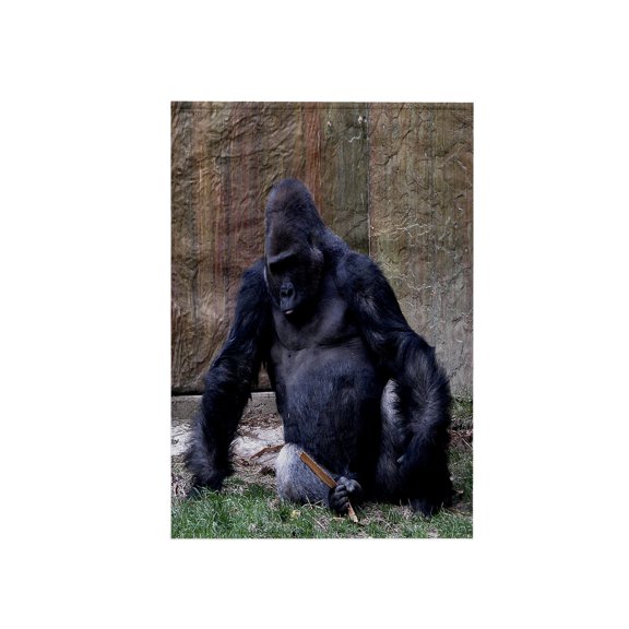 3dRose, Gorilla with Stick, 15x22 Hand Towel