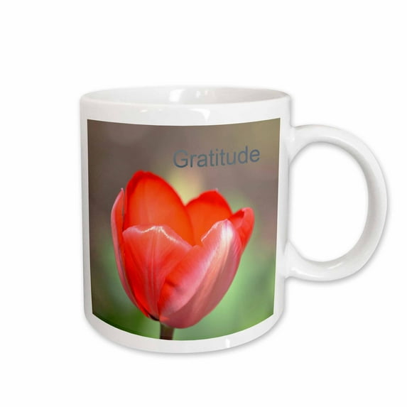 3drose, Gratitude Tulip Flower- Red Floral Photography- Inspirational, 11oz Mug