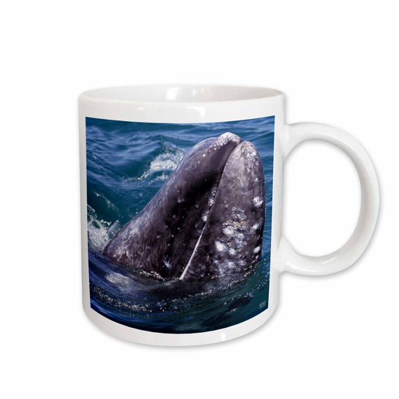 3drose, Gray Whale in San Ignacio Lagoon, Eschrinchtius Robustus, Baja California, Mexico, 15oz Mug