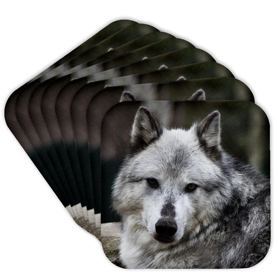 3drose, Gray Wolf Looking Straight at You, Set of 8 Coasters - Cork