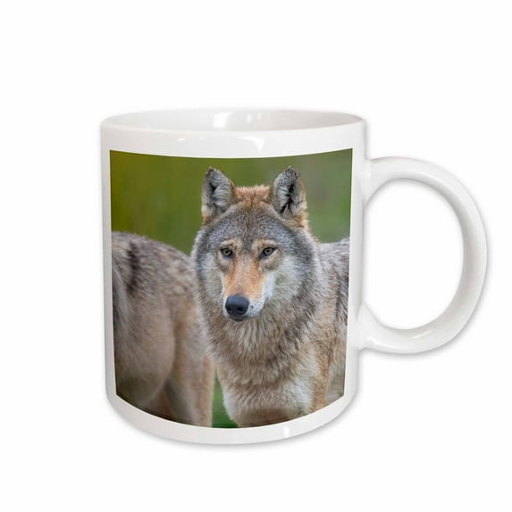 3drose, Gray Wolf in Wildlife Center of National Park Hortobagy, Hungary., 11oz Mug