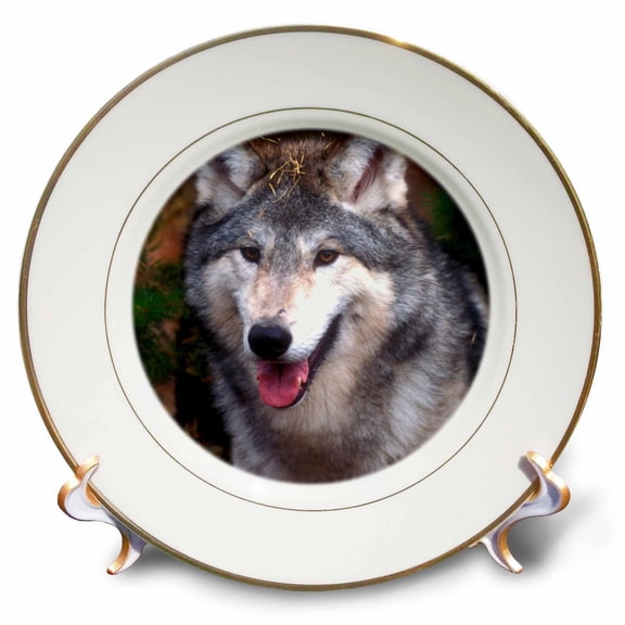 3dRose, Gray wolf under a tree, 8 inch Porcelain Plate