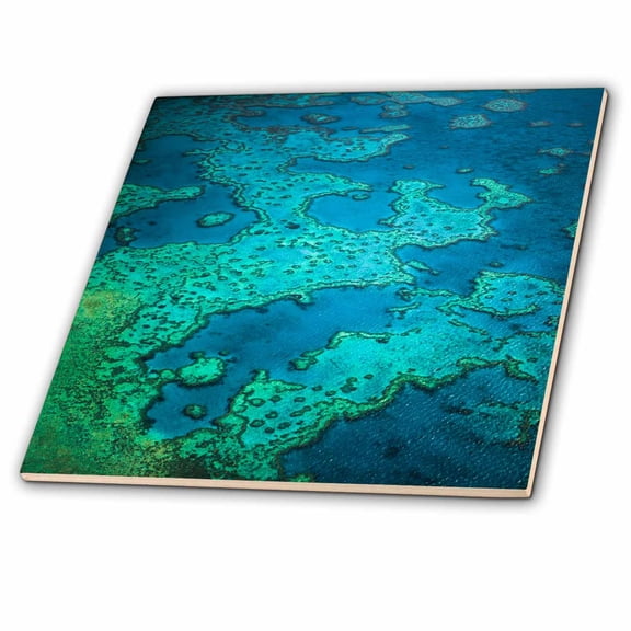 3dRose, Great Barrier Reef, Queensland, Australia, 4 Inch Ceramic Tile