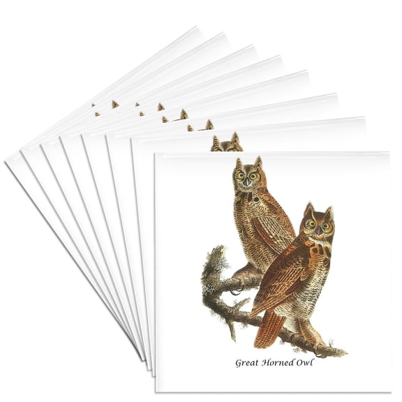 3dRose, Great Horned Owl by John James Audubon, Set of 8 Ceramic Tile Coasters