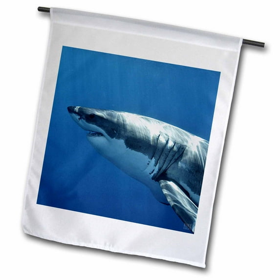 3dRose, Great White Shark, 12 x 18 inch Garden Flag